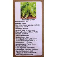 6 Degrees East Heirloom Herb Seeds - Mustard Greens - Florida Broadleaf